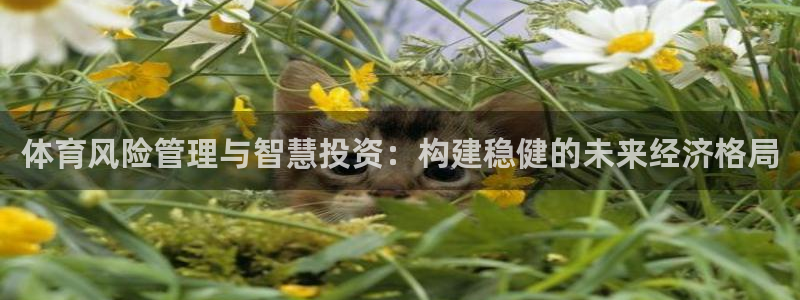 必一体育官方入口：体