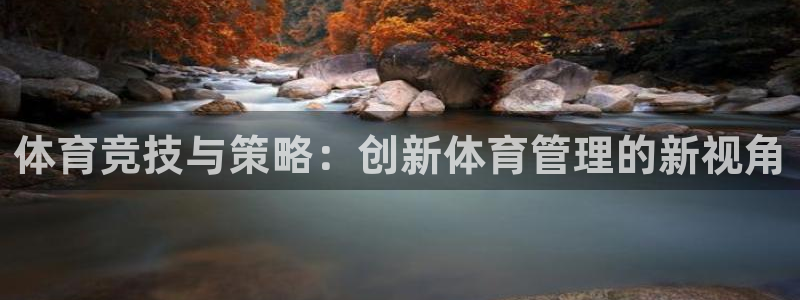 必一体育在哪下：体育