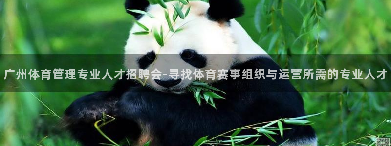 必一体育网址：广州体