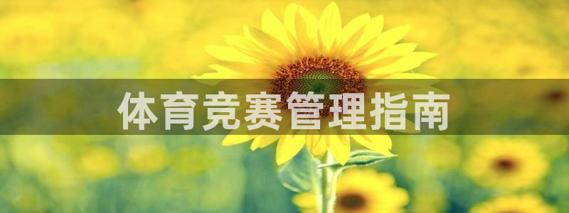 必一体育sportB体育