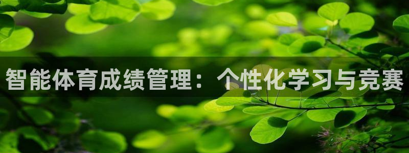 必一体育在线官网：智能体育成绩管理：个性化学习与竞赛