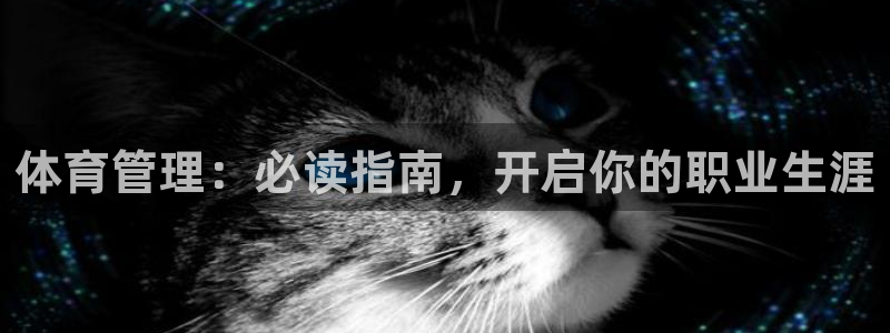 必一体育游戏玩法：体育管理：必读指南，开启你的职业生涯