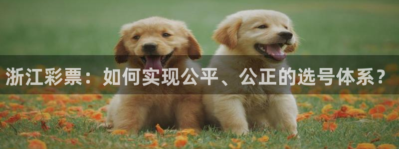 必一运动短信：浙江彩