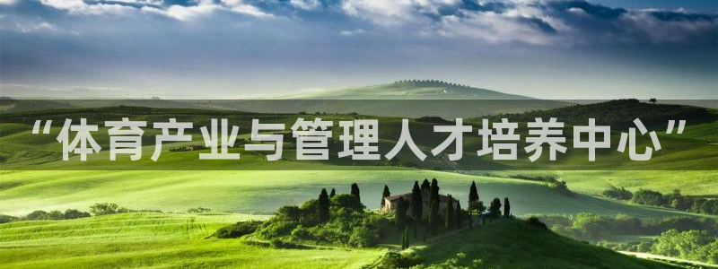 必一体育没了：“体育