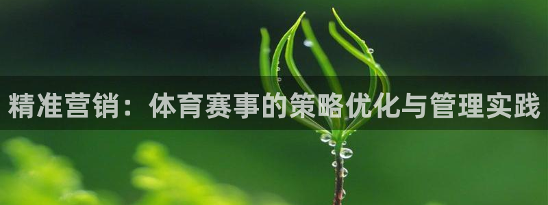 必一体育验证码：精准营销：体育赛事的策略优化与管理实践